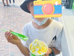 -Salud撒露欧洲冻酸奶(蓝色港湾店)