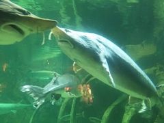 -华夏文旅海洋公园