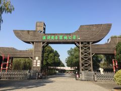 -溱湖国家湿地公园