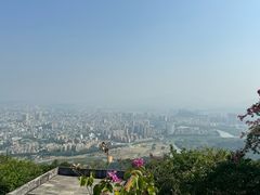 -风云岭森林公园