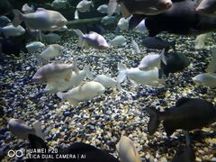 -成都浩海立方海洋公园