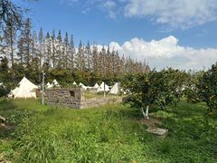 -前小桔亲子创意农场·草莓采摘·露营烧烤