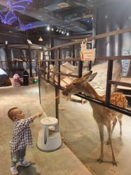 -酷嗒动物文化乐园(cutezoo西溪乐天城店)