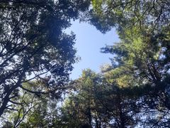-萨尔浒风景区
