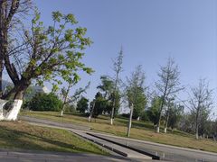 -桂溪生态公园