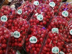 -百果园PAGODA(玄武成贤街店)