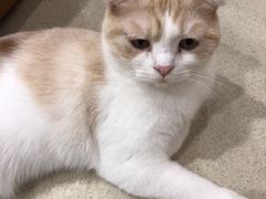 -藏猫猫咖啡主题馆(中央大道店)