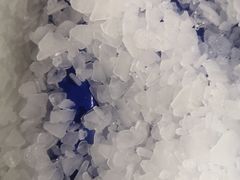 -Mr·Kuma酷么先生雪之乐园