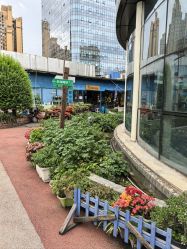 -梦田都市农场(银泰城店)