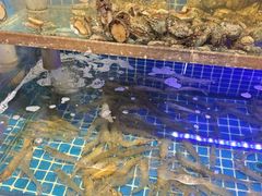 -鲁商铂尔曼大酒店·铂丽自助餐厅