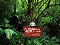 -西岭雪山大飞水景区