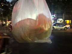 -洪记江鹰包行总店