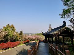 -游子山休闲旅游区