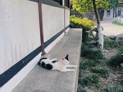 -常熟方塔园