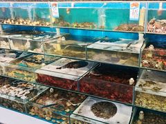-仙螺岛海鲜自助餐厅(总店)