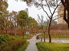 -黄兴公园
