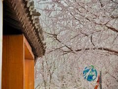 -春风习习