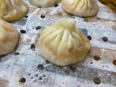 -莱莱小笼·乔艾