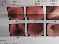 -上海市东方医院(总院)