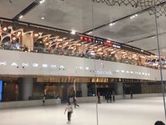 -TheRink大零溜冰场(IFS国金中心店)