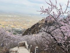 -北京凤凰岭