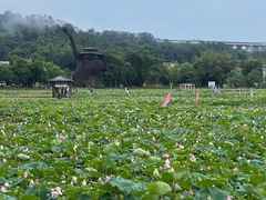 -红山村
