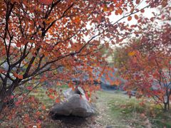 -青州市云门山风景区