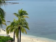 -日落吧·海景咖啡厅·餐酒吧·鸡尾酒·下午茶·乐队表演·浪漫夕阳·三亚文华东方酒店