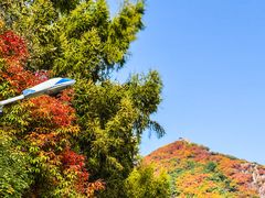 -吉林市朱雀山国家森林公园