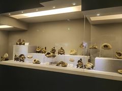 -恩格贝生态旅游区