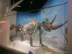-国家自然博物馆