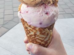 -Patagonia Chocolates(皇后镇店)