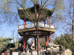 -莲花池公园