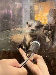 -Zoolung Zoolung动物主题公园(海信广场店)