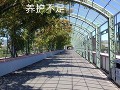 -北京金海湖景区