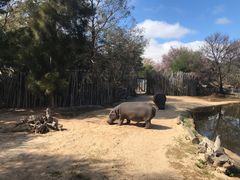 -威勒比开放式动物园