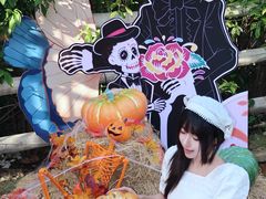 -灵玲国际马戏城