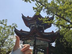 -翠湖公园