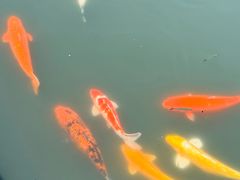 -西湖游船