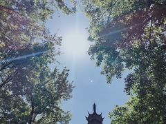 -苏州上方山国家森林公园