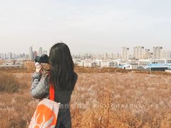 -明秦王墓遗址