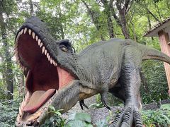 -宝晶宫旅游景区