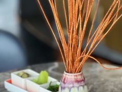 -Hi City·城市之巅