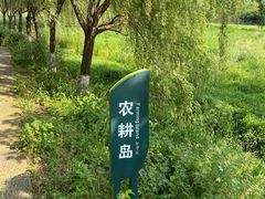 -长兴太湖图影湿地文化园
