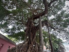-闽粤南澳总镇府