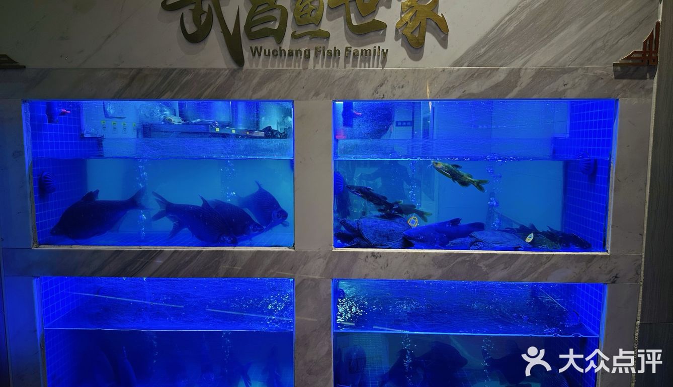这家武昌鱼专门店让我吃出了江城的本真滋味🐟