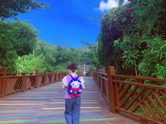 -泉州海丝野生动物世界