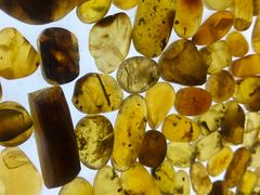 -湖南省地质博物馆