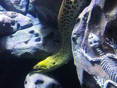 -锦艺城海洋馆