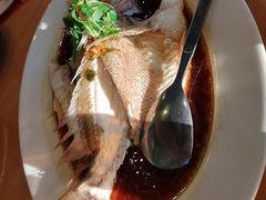 清蒸鲷鱼-大树下海鲜饭店